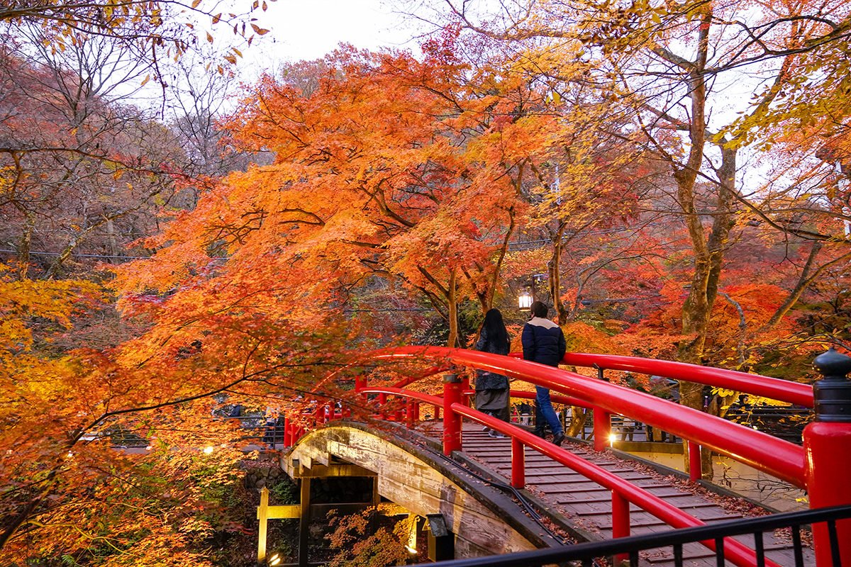 ♨️ 이카호 노천탕(이카호 로텐부로) 이미지 6